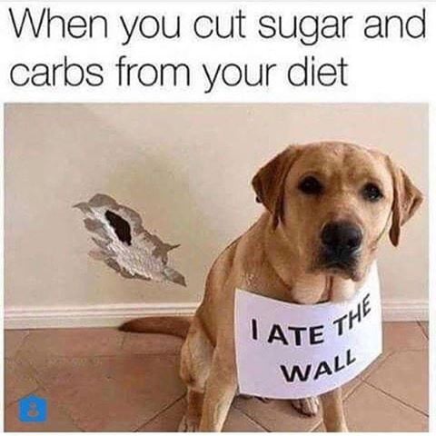 46+ Best Keto Diet Funny Memes You Can Relate | KetoVale