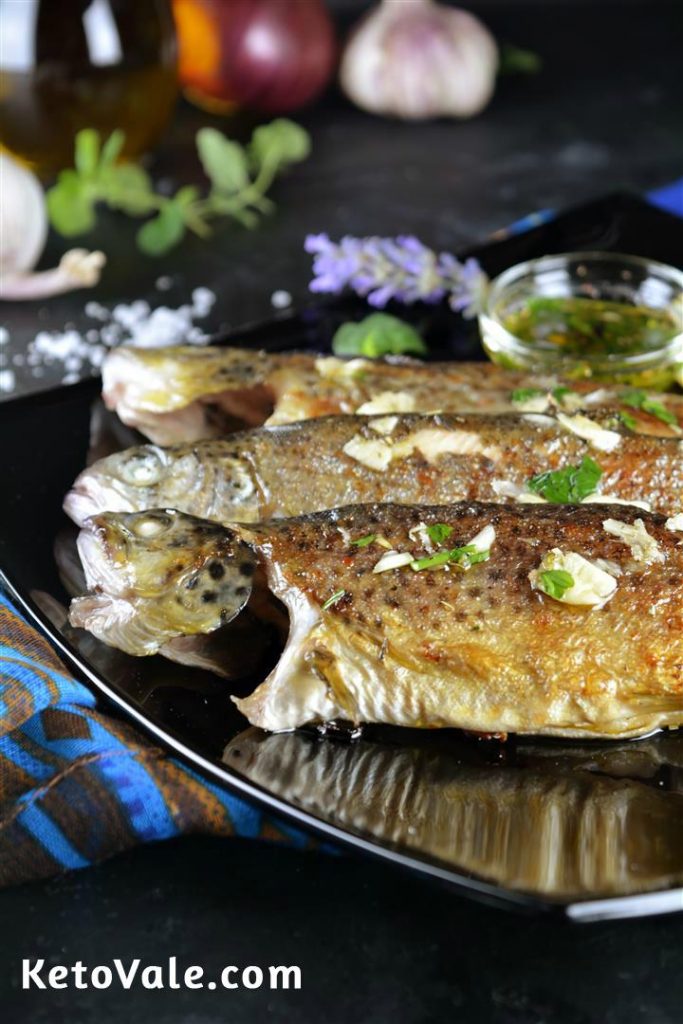 Trout fish