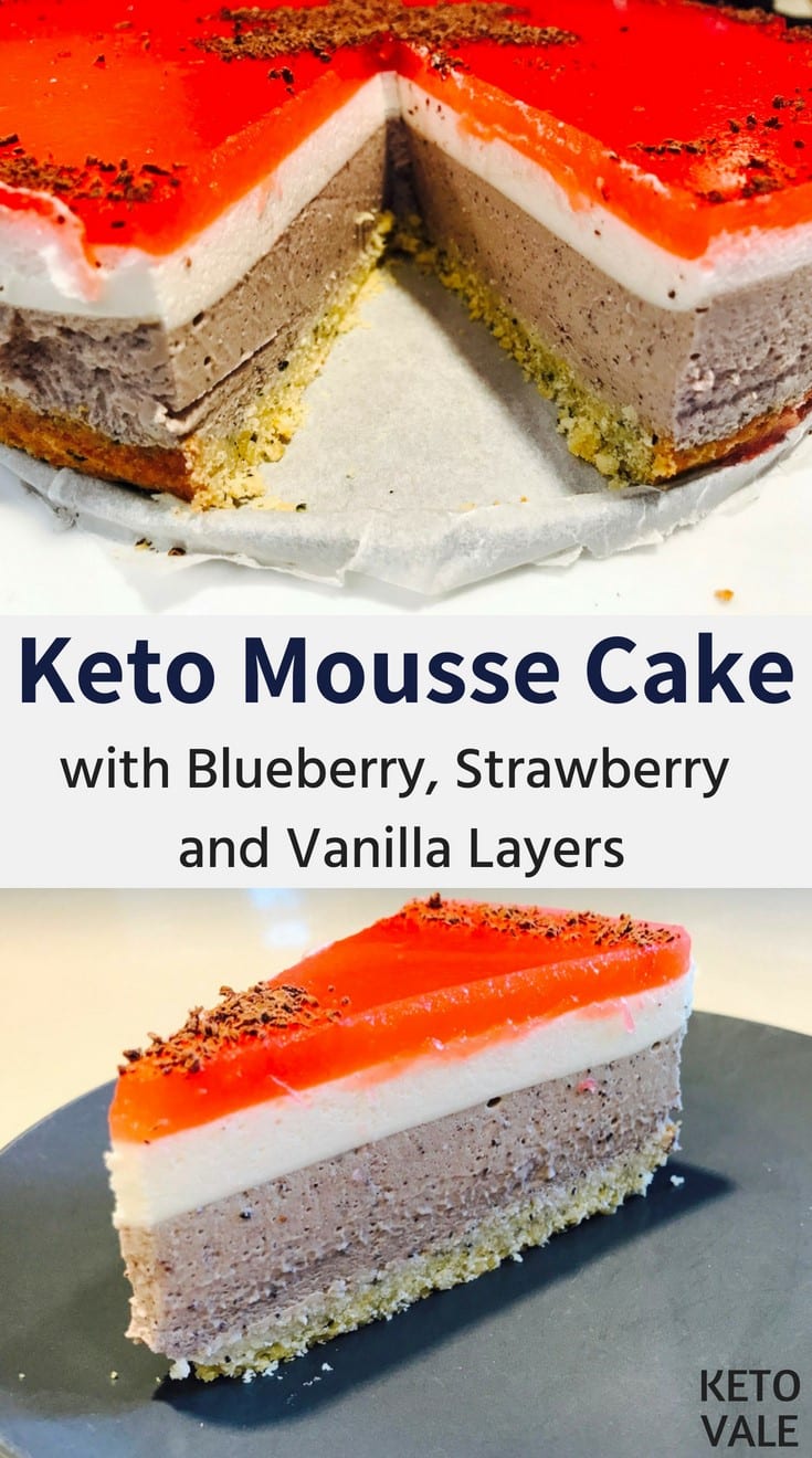 Sugar Free Keto Mousse Cake