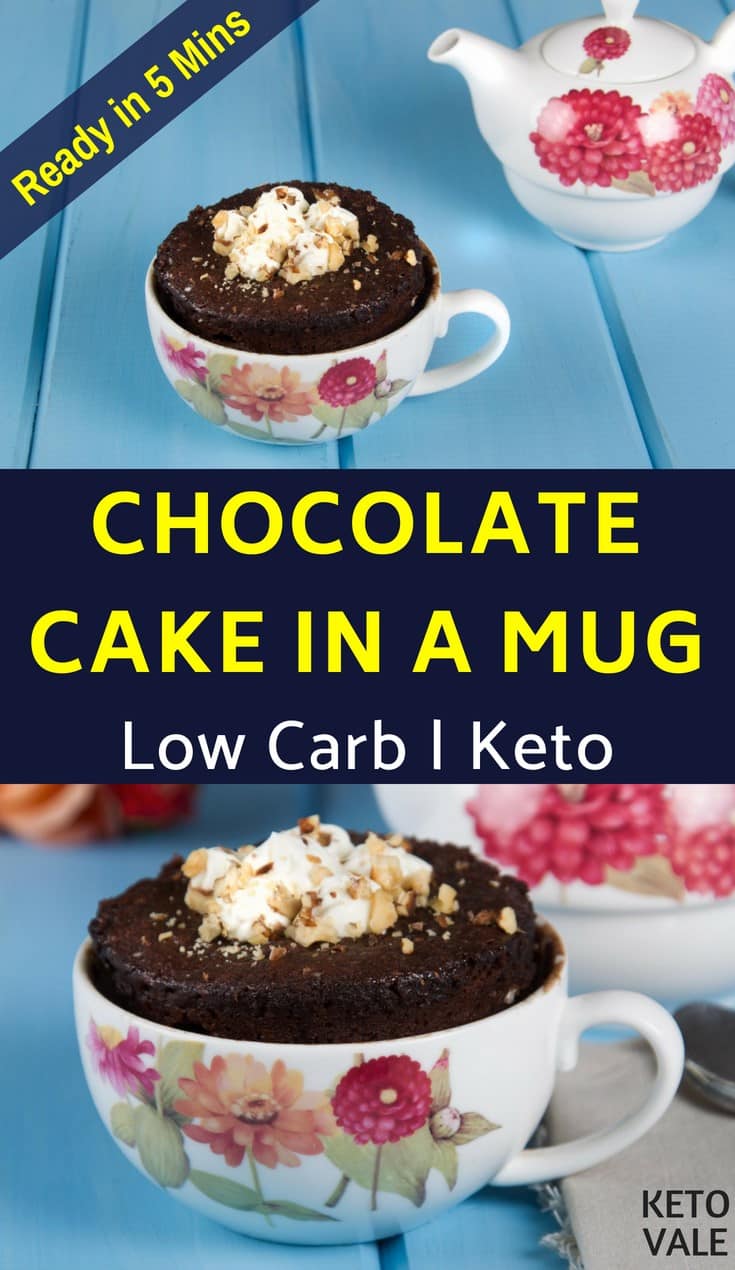 Low Carb Chocolate Cake in a Mug