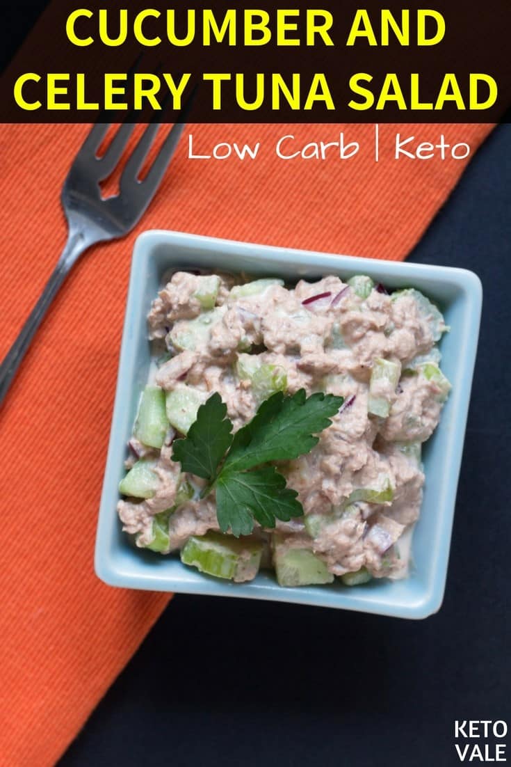 Keto Easy Tuna Salad with Cucumber and Celery Low Carb Recipe Keto Vale