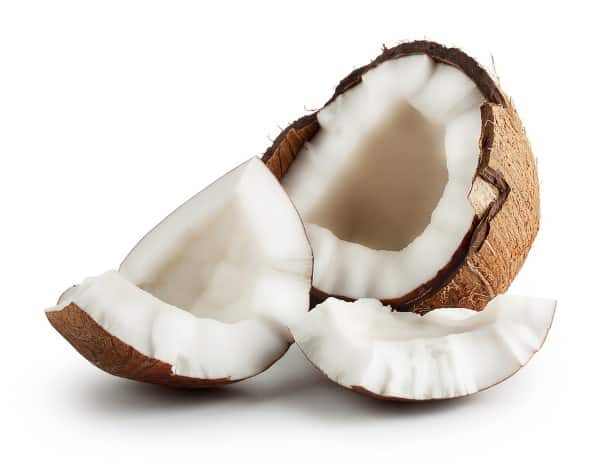 coconut meat