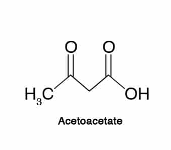 Acetoacetate