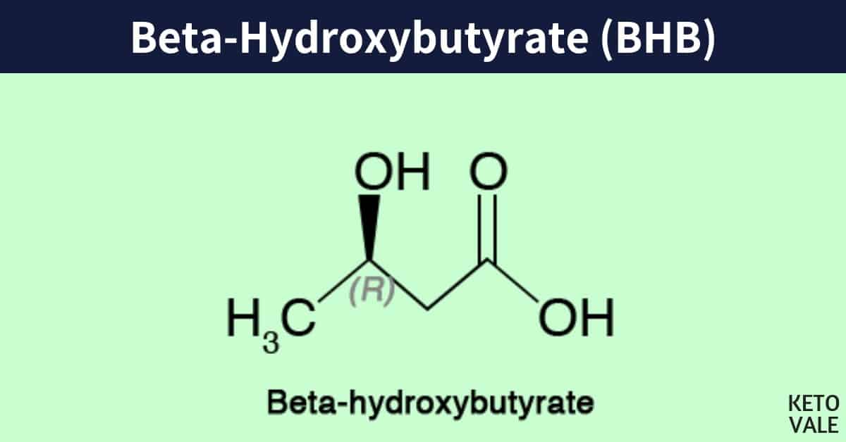 Behind BHB: Breakdown of Beta-Hydroxybutyrate - Ketogenic.com