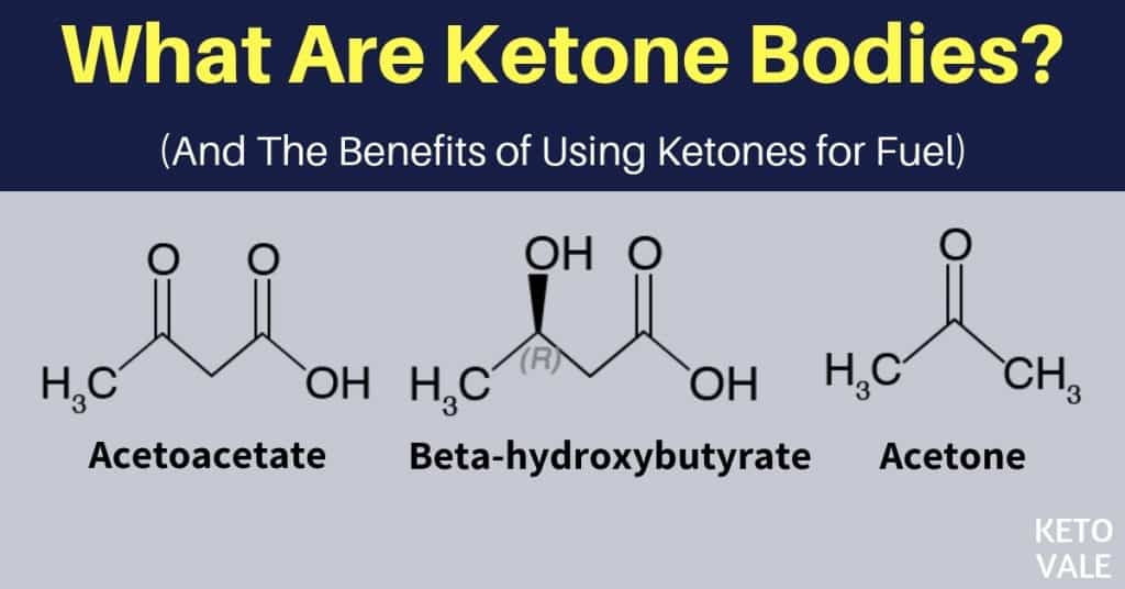 ketone bodies