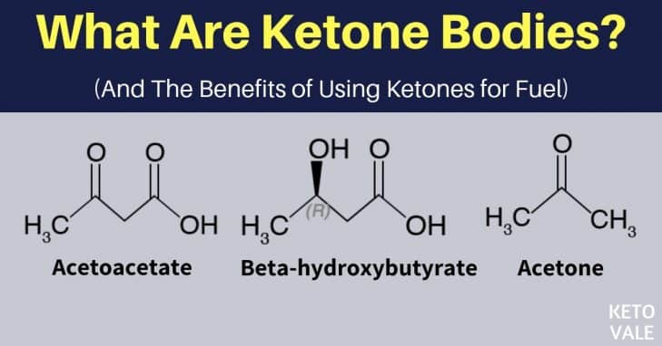 What Are Ketones And Why You Should Use It For Fuel what-are-ketones-and-why-you-should-use-it-for-fuel