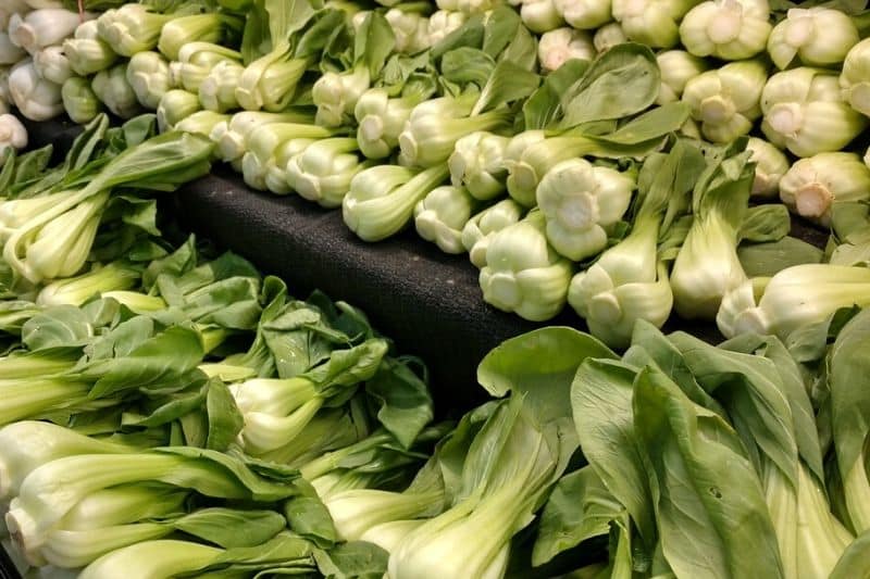 bok choy