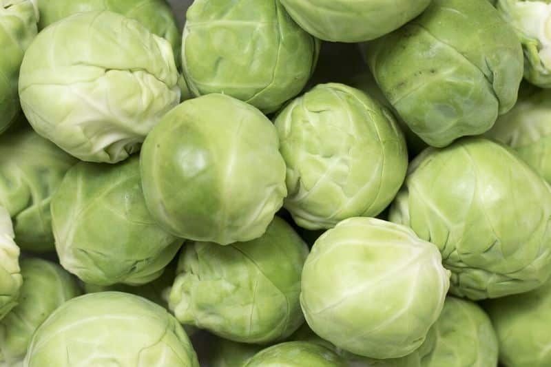 brussel sprouts