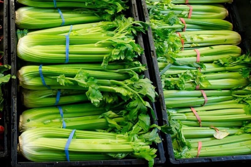 celery