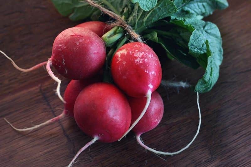 radishes