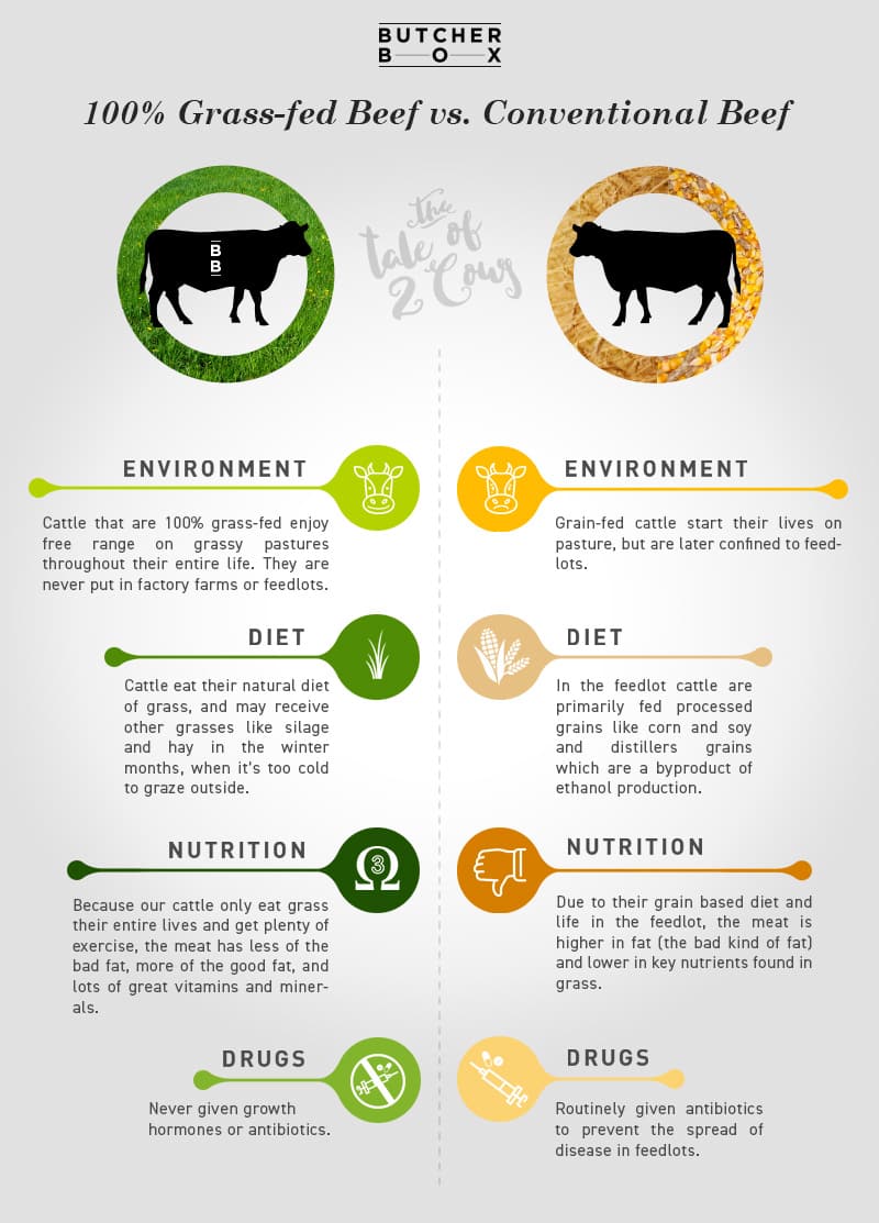 grassfed vs conventional