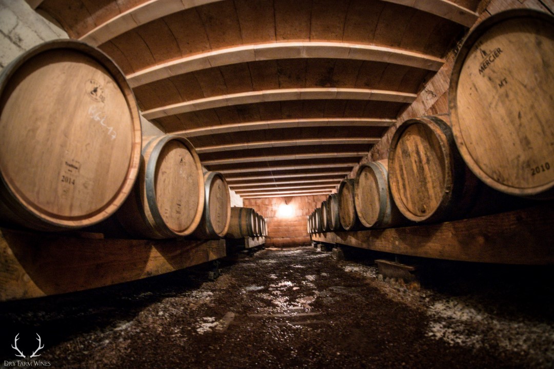 wine cellar