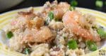 shrimp cauliflower fried rice