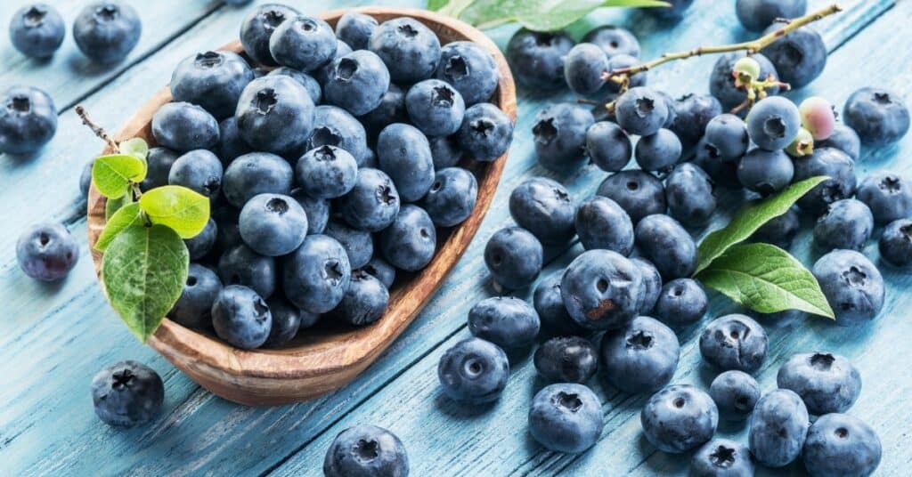 blueberries benefits