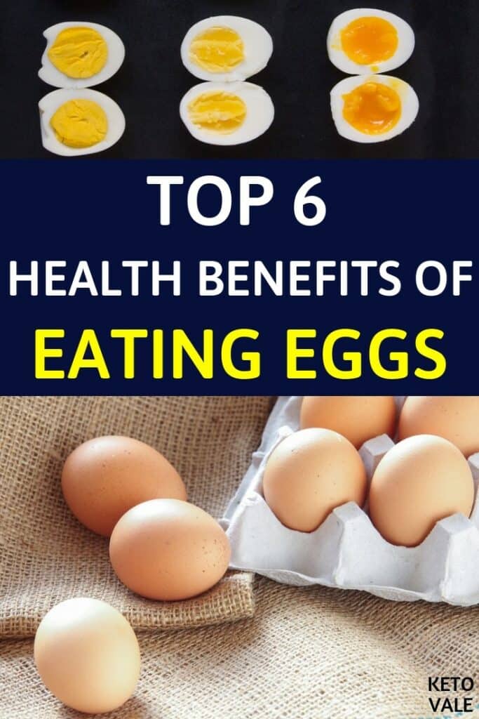 egg nutrition