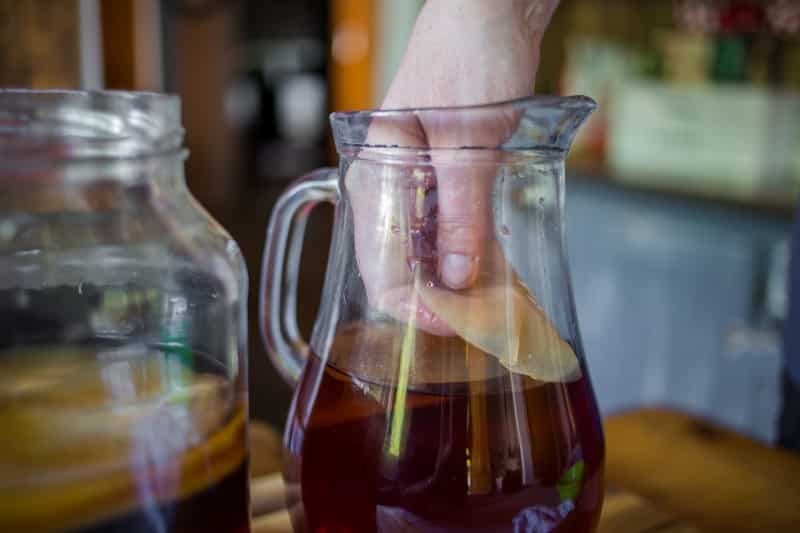 homemade kombucha