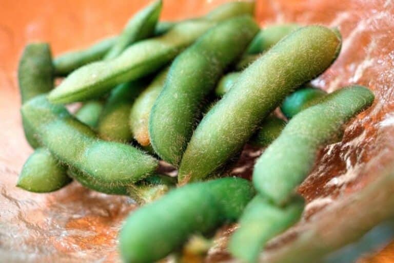Can You Eat Edamame on a Low Carb Ketogenic Diet? KetoVale