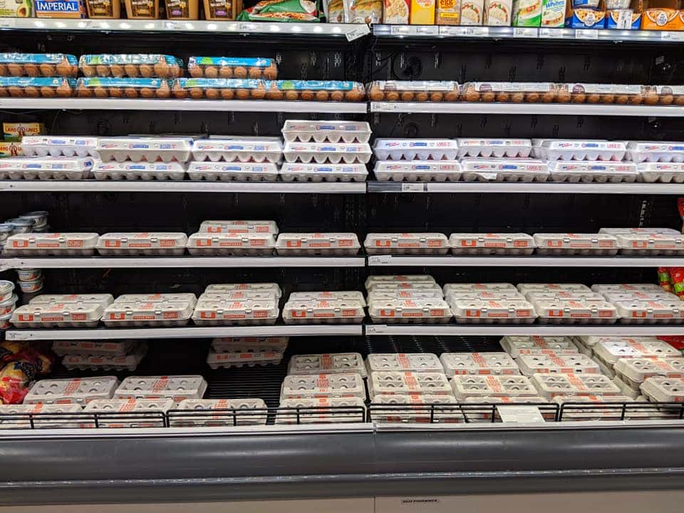 eggs at target