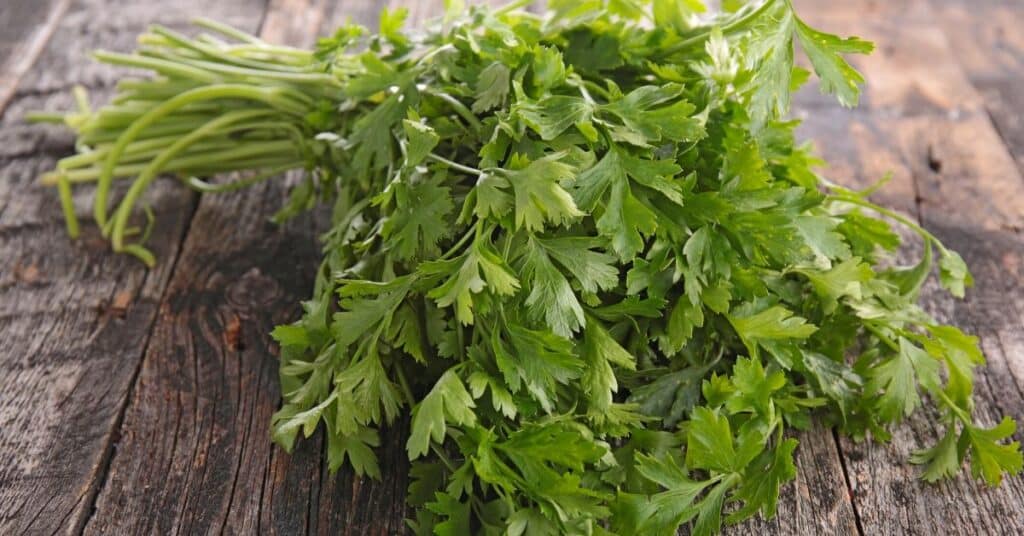 parsley substitutes list