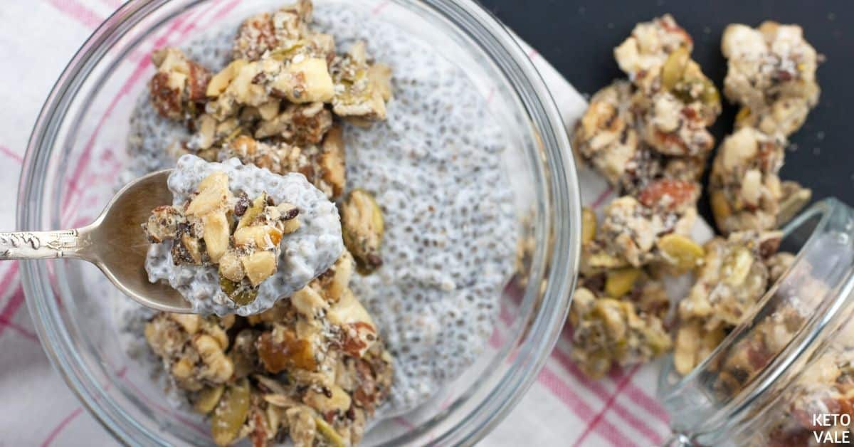 Easy Keto Granola Chia Seeds Yogurt Low Carb Recipe KetoVale