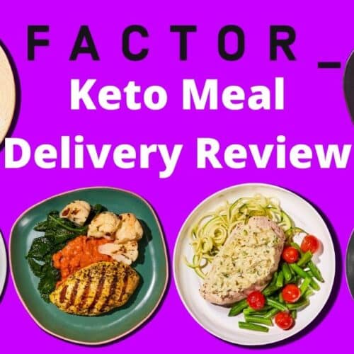 Ketona Dog Food Review Should Your Dogs Eat Low Carb Keto? KetoVale