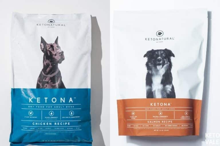 Ketona Dog Food Review Should Your Dogs Eat Low Carb Keto? KetoVale