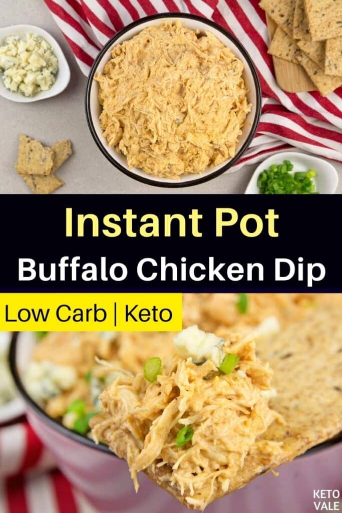 instant pot buffalo chicken dip recipe