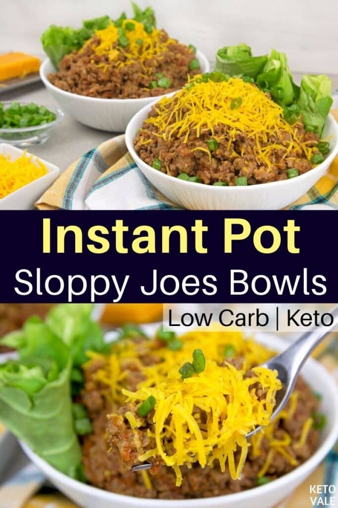 low carb instant pot sloppy joes