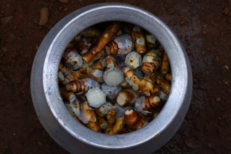 Arrowroot Net Carbs Is It Low Carb and Keto Friendly? KetoVale