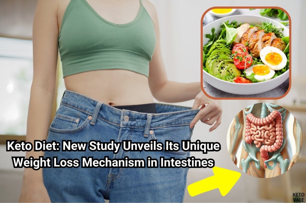 keto diet study weight loss intestines
