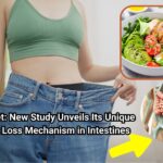 keto diet study weight loss intestines