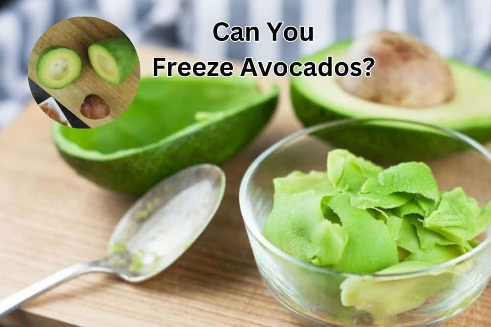freeze avocado